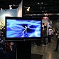 IMG_9184