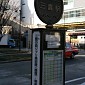 IMG_1155