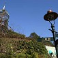IMG_1162