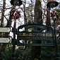 IMG_1182