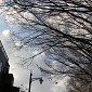 IMG_1183