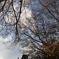 IMG_1186