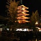 IMG_2267