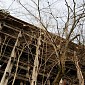 IMG_0030