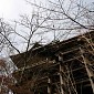IMG_0031