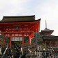 IMG_0043