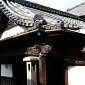 IMG_0053