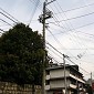 IMG_9854