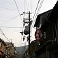 IMG_9865