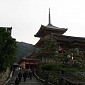 IMG_9890