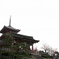 IMG_9893