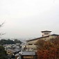 IMG_9896