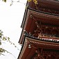 IMG_9916