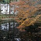 IMG_9932