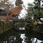 IMG_9933