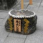 IMG_9985