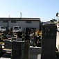 IMG_1274