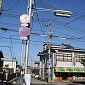 IMG_1275