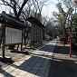IMG_1289