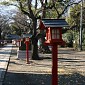 IMG_1291