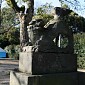 IMG_1293