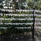 IMG_1297