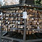 IMG_1298