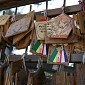 IMG_1304