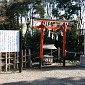 IMG_1350