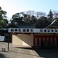 IMG_1352