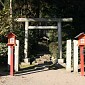 IMG_1354