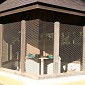 IMG_1356