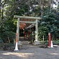 IMG_1357