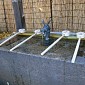 IMG_1363