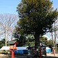 IMG_1365