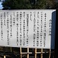IMG_1366