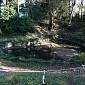 IMG_1368