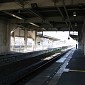 IMG_1386