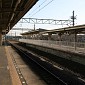 IMG_1387