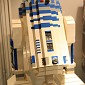 IMG_8081