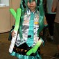IMG_8133