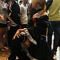 IMG_3742