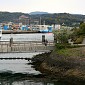 IMG_5674
