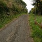 IMG_5771