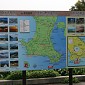 IMG_5858