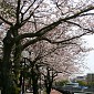 IMG_5910