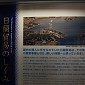 IMG_5382