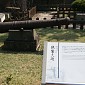 IMG_5396