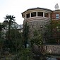 IMG_5463
