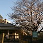 IMG_5473